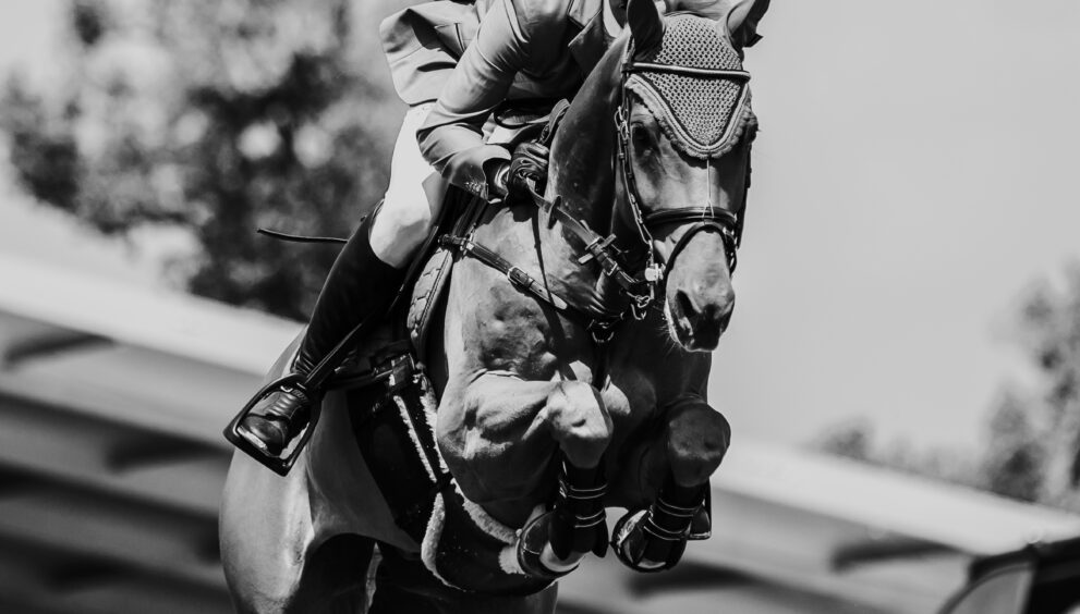 Soldier In Milan wins the Irish Grand National