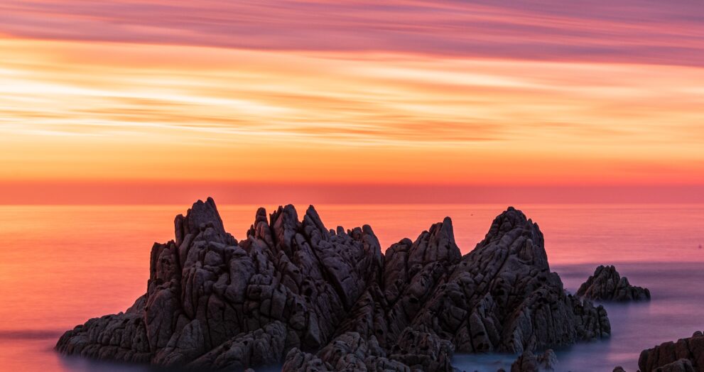 Who is Reform UK's Welsh leader Dan Thomas