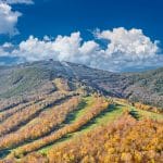 Chiba